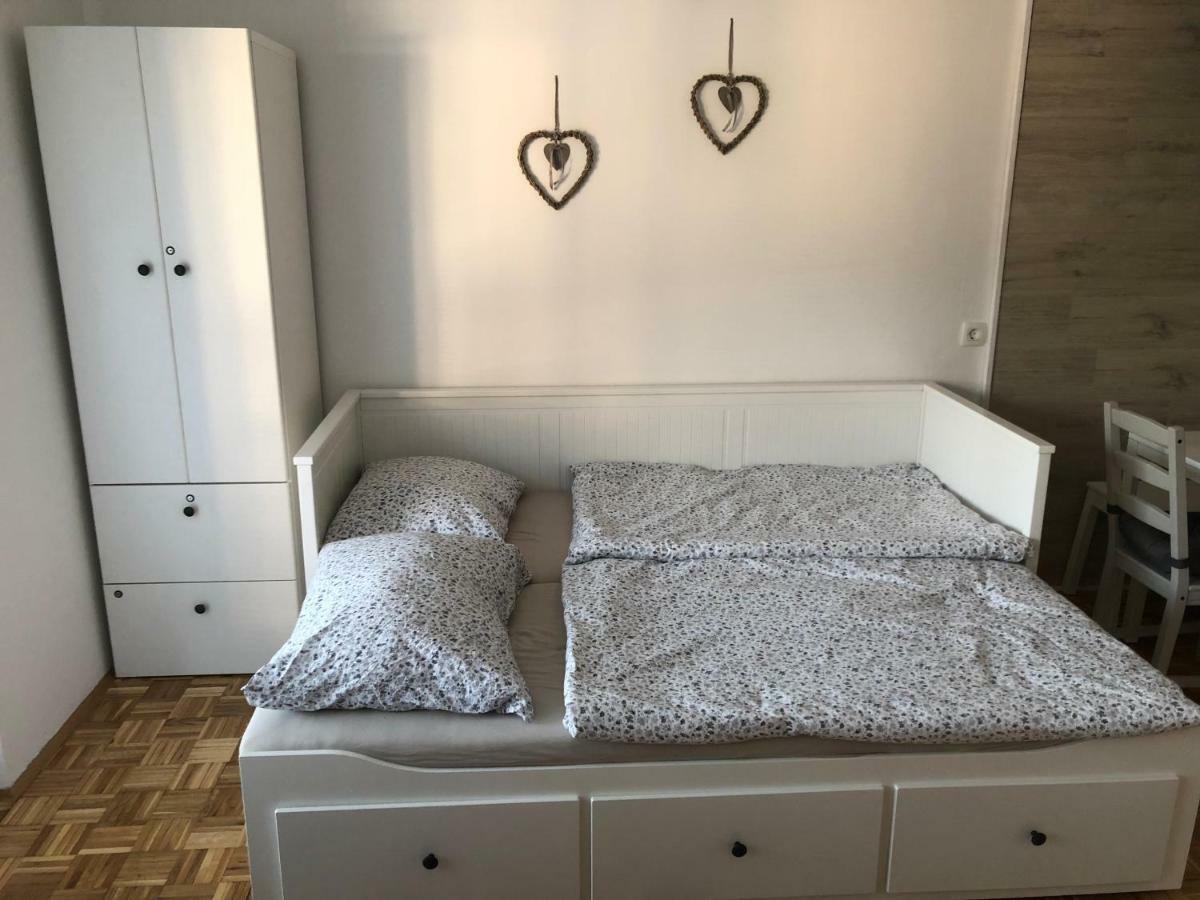 Apartma Vintage ボーヒニ エクステリア 写真